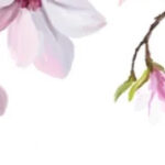 Bandeau de fleurs décorative pour la fête des mères